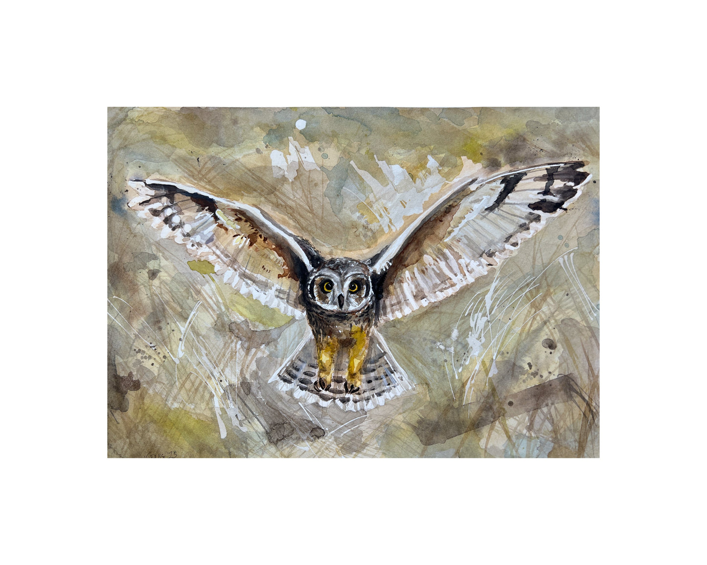 "Eye Spy" print