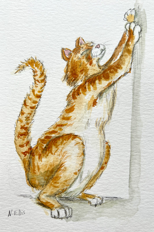 Orange kitty original