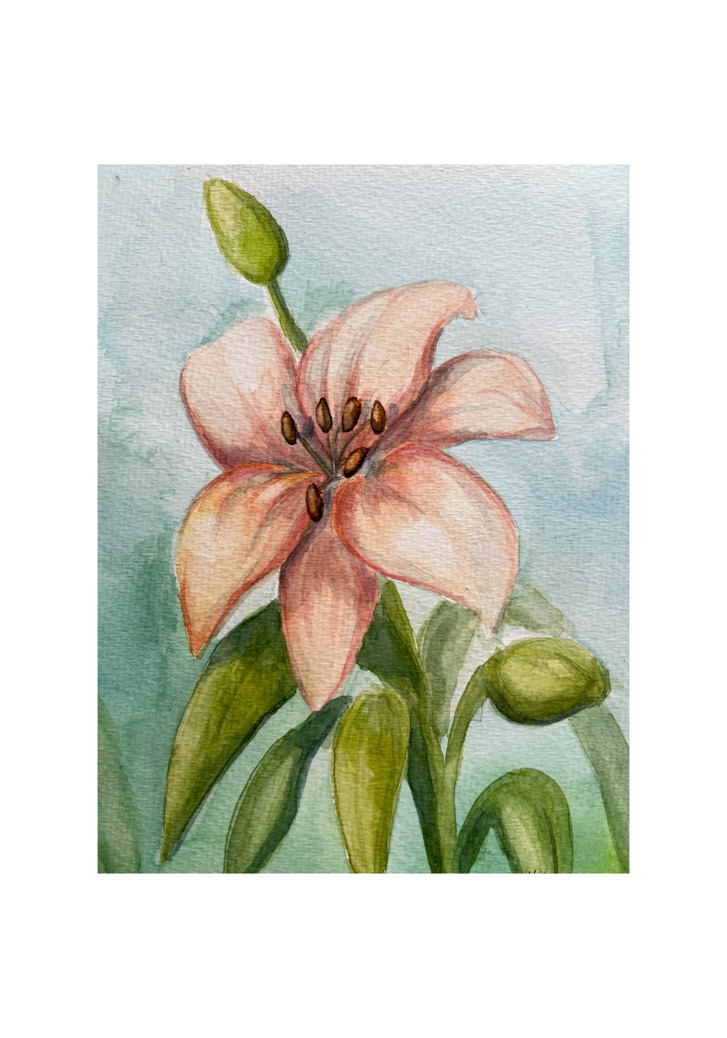 Rachael’s Lily card